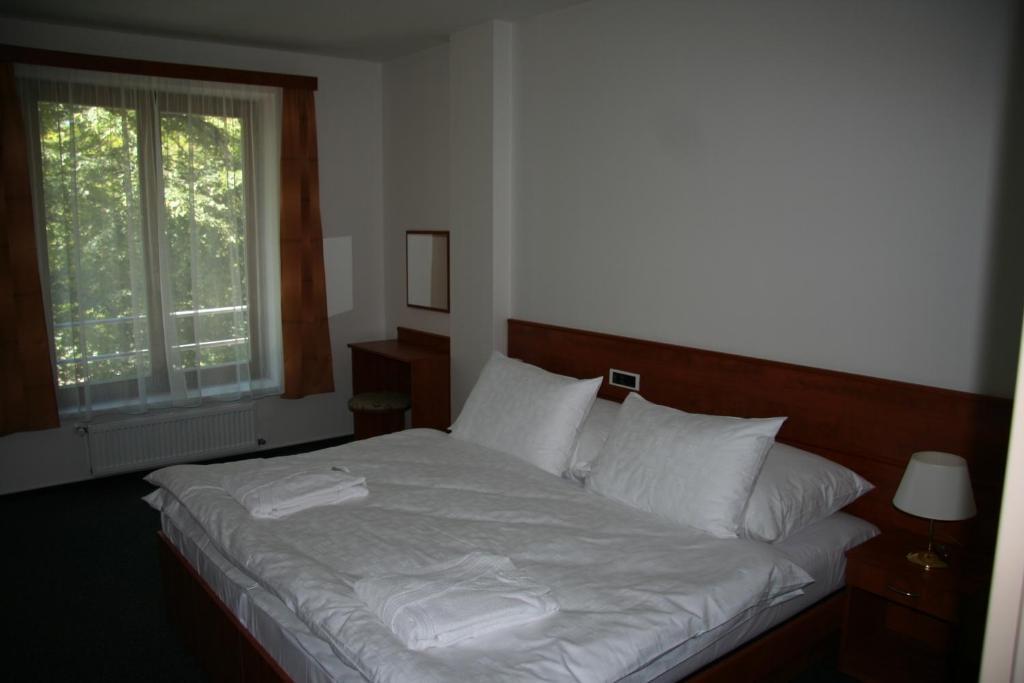 Lazensky Hotel Park Poděbrady Værelse billede